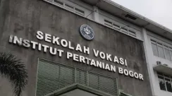 ipb