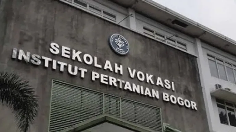 ipb