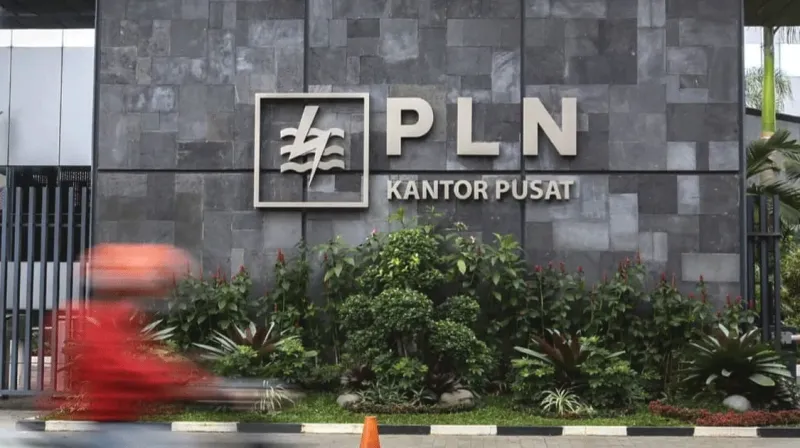 kantor-pln