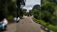 kebun raya bogor