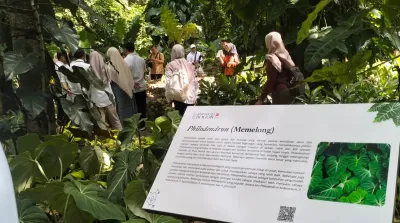 kebun raya bogor