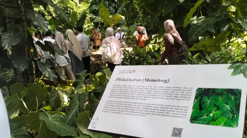 kebun raya bogor