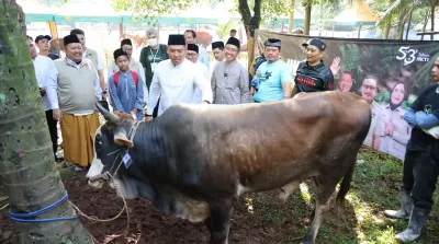 kurban