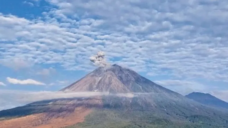 maluku-g