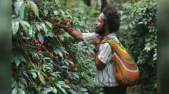 papua