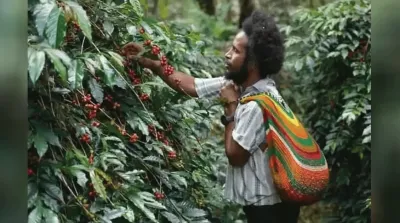 papua