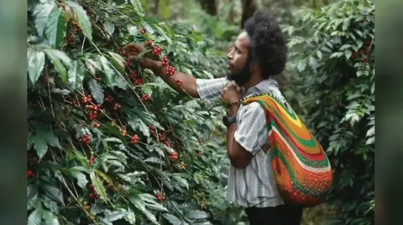 papua