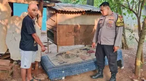peluru nyasar
