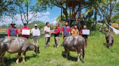 qurban