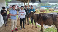 qurban-psi-bogor