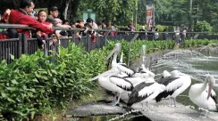 ragunan