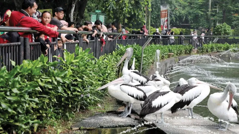 ragunan