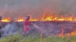 riau-kbakaran-lahan