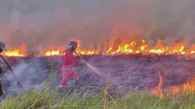 riau-kbakaran-lahan