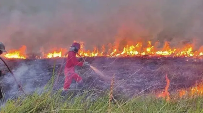 riau-kbakaran-lahan