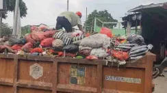 sampah