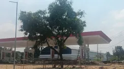 spbu (2)