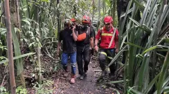 tim-sar