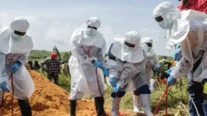 wabah-ebola