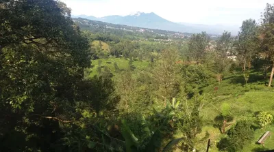 wakaf produktif tanah puncak