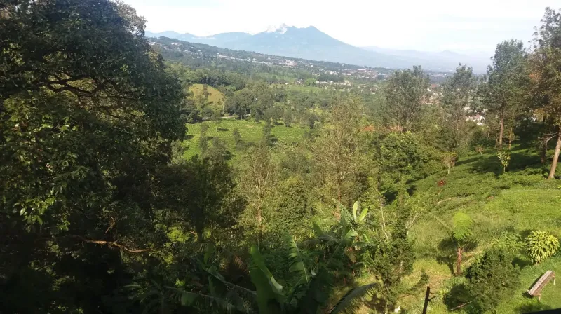 wakaf produktif tanah puncak